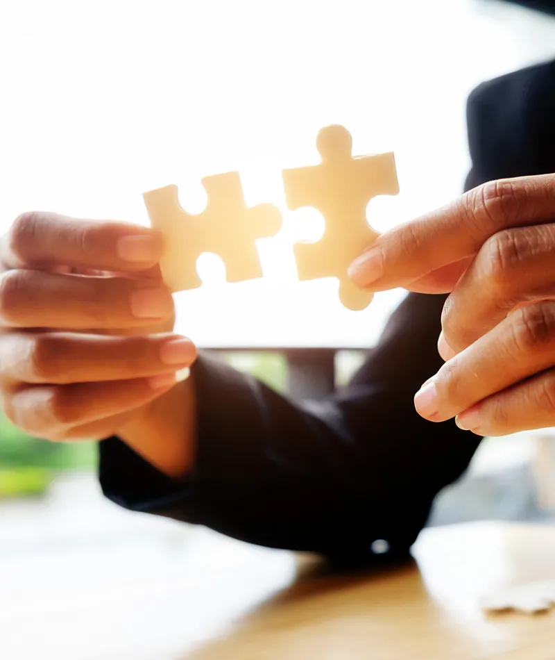 Business Consulting Service for Advisory & Support